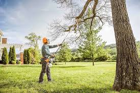 Best Lawn Maintenance Plans  in Burnsville, NC