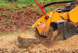 Best Hazardous Tree Removal  in Burnsville, NC